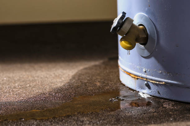  Tool, TX Water damage restoration Pros