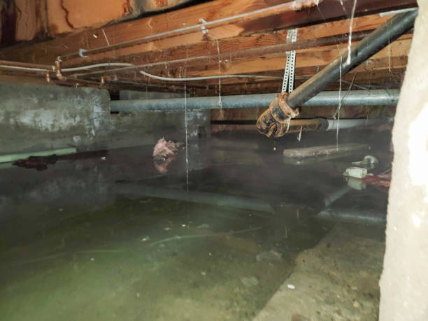 Best Flooded house restoration  in Tool, TX