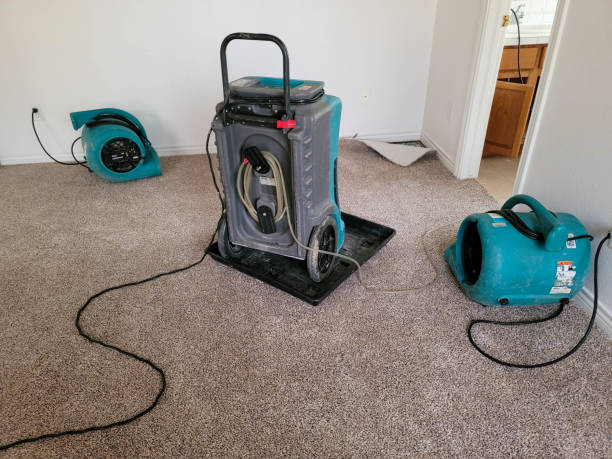 Best Local water damage restoration  in Tool, TX