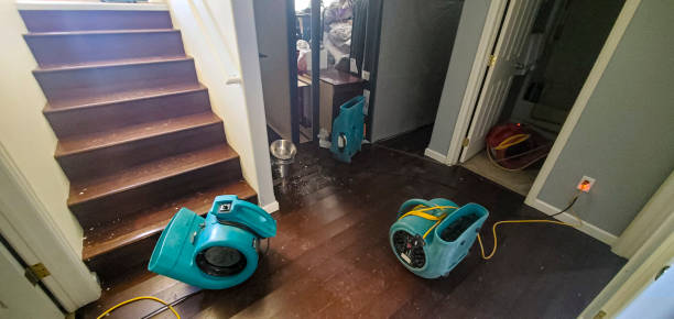 Best 24-hour water damage restoration  in Tool, TX