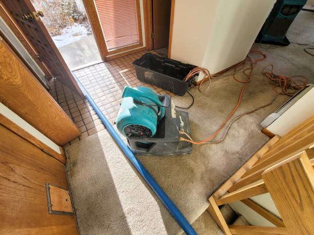 Best Professional water damage repair  in Tool, TX