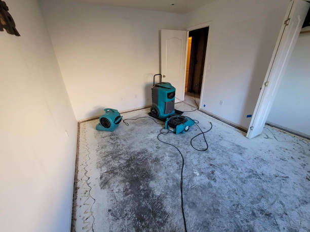 Best Sewage cleanup and water damage restoration  in Tool, TX