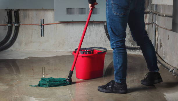 Carpet water damage restoration in Tool, TX