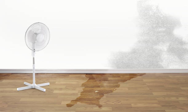 Best Sewage cleanup and water damage restoration  in Tool, TX