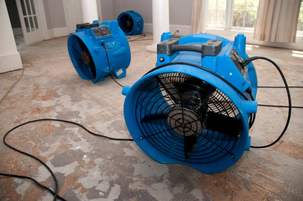 Water damage restoration mold remediation in Tool, TX
