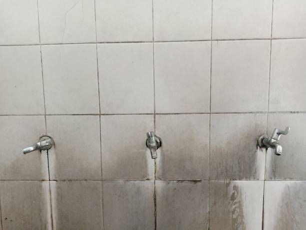 Best Mold removal after water damage  in Tool, TX