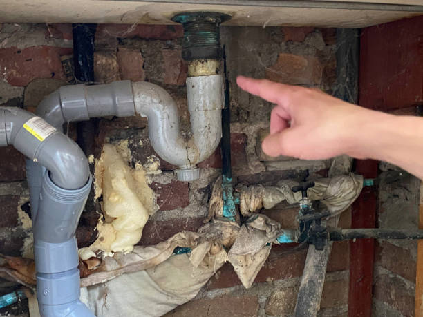 Best Flood damage cleanup  in Tool, TX