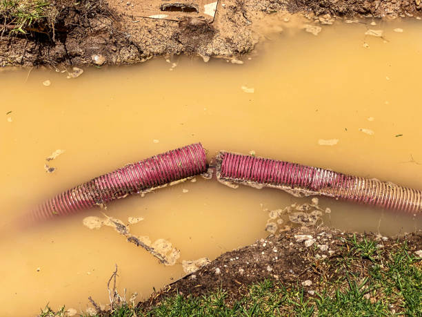 Sewage cleanup and water damage restoration in Tool, TX