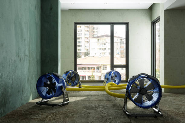 Best Water damage contractors near me  in Tool, TX